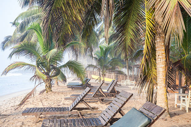 istock Beautiful tropical beach with palm trees 477356419