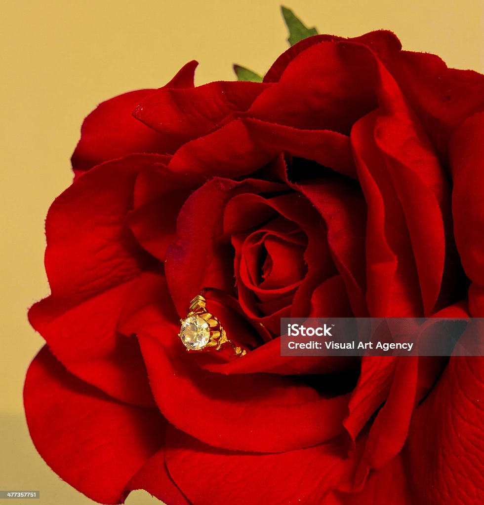 Propuesta de bodas con rosas - Foto de stock de Alianza - Anillo libre de derechos