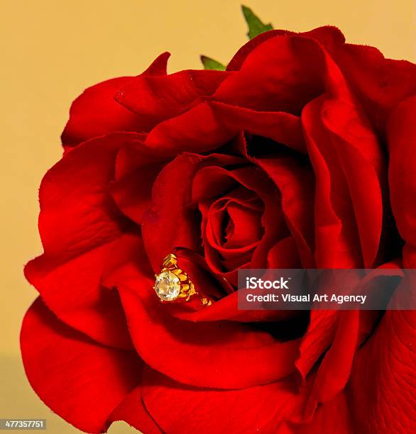 Propuesta De Bodas Con Rosas Foto de stock y más banco de imágenes de Alianza - Anillo - Alianza - Anillo, Amor - Sentimiento, Anillo - Joya