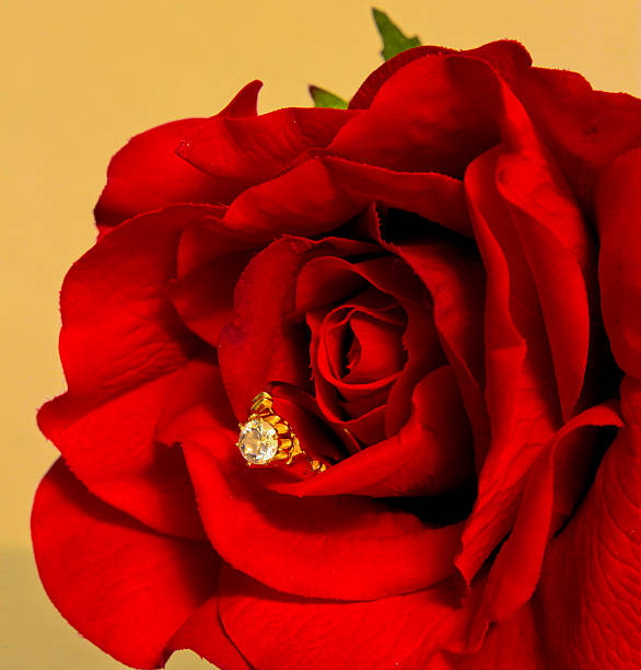 istock Proposal Of Marriage With Rose 477357751