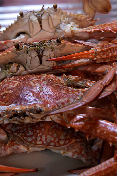 istock Boiled Crabs, Ready to cook for Thai Crab Curry 477360538