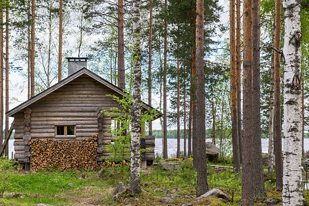 フィンランド式サウナ - scandinavian lake cottage house ストックフォトと画像