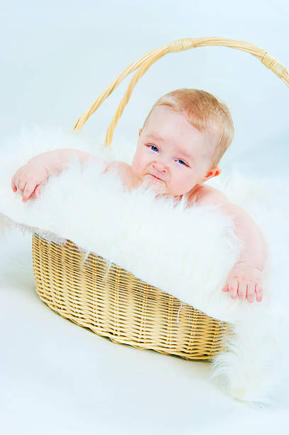 The kid in a basket
