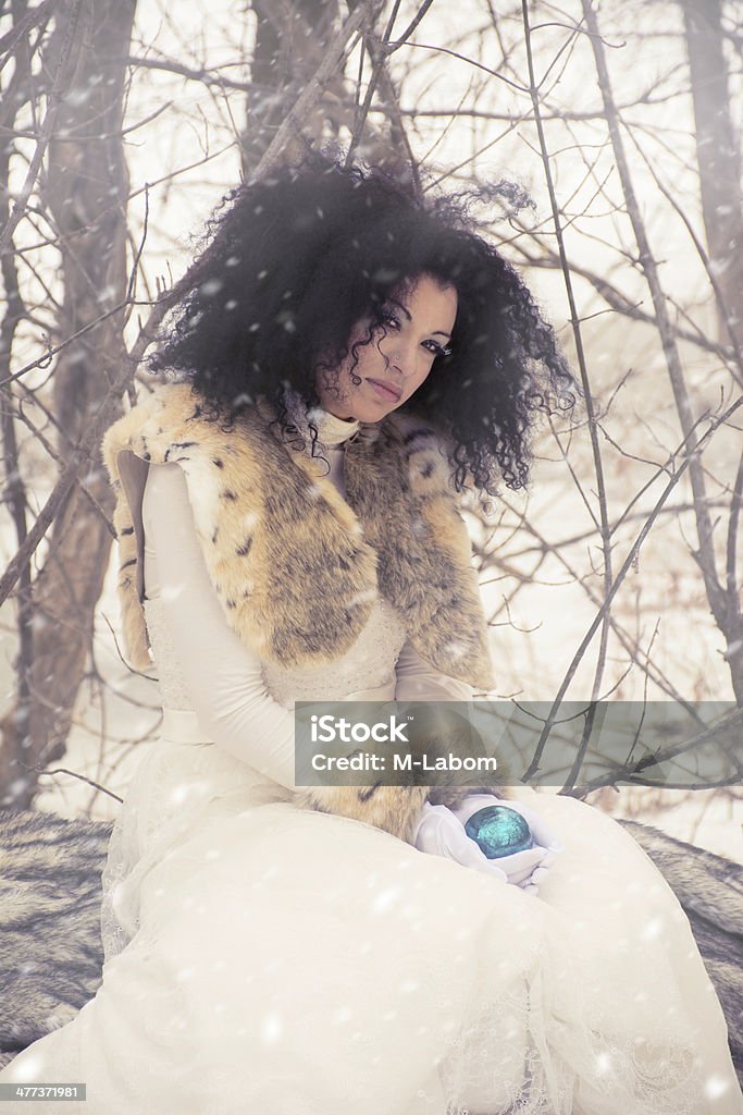 Snow Queen Fantasy Character Outdoors in Winter Sitting on Log Winter scene with mixed racial woman in nature Adult Stock Photo