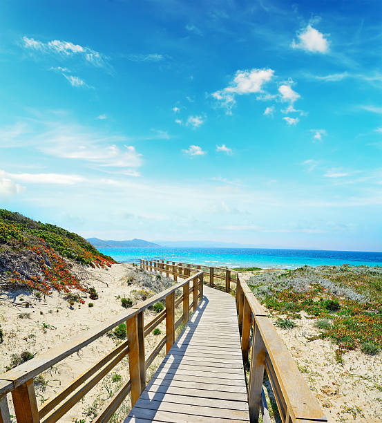 istock wooden boardwalk in Capo Testa on a clear day 477372302