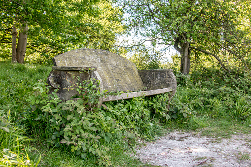 A park bench sits amongst a clump of weeks and brambles.  The wood has become green with mildew, moss and decay.  The once loved structure has been left to decay slowly as nature takes over.
