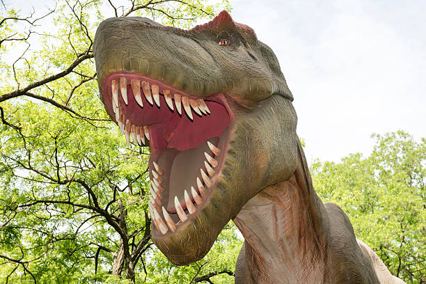 istock Tyrannosaurus 477377956