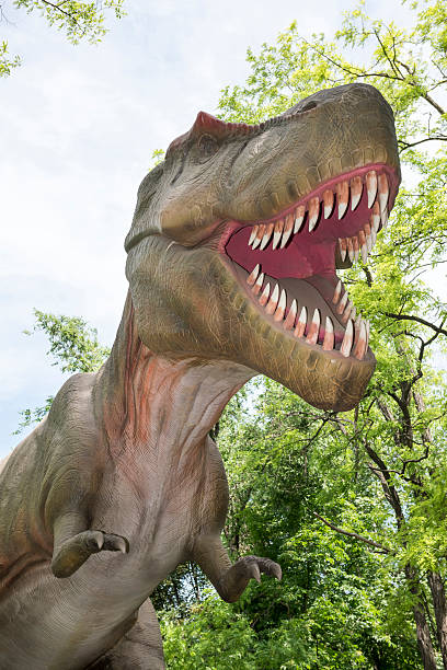istock Tyrannosaurus 477377960