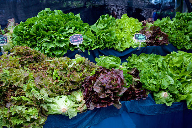 фермерский рынок салат - red romaine стоковые фото и изображения