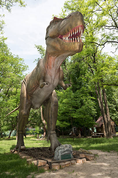 istock Tyrannosaurus 477378286
