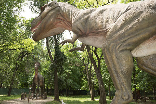 istock Tyrannosaurus 477378322