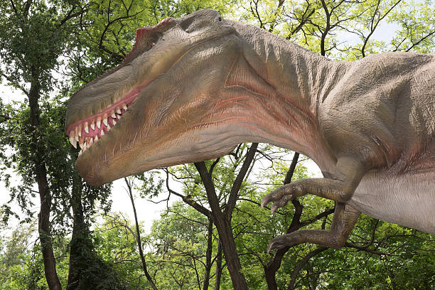istock Tyrannosaurus 477378342