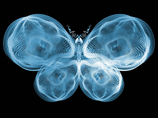 istock Glow of Butterfly 477378583