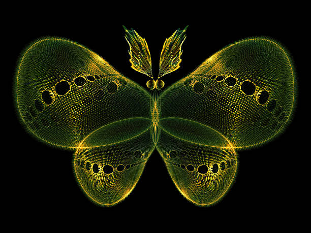 istock In Search of Butterfly 477378875