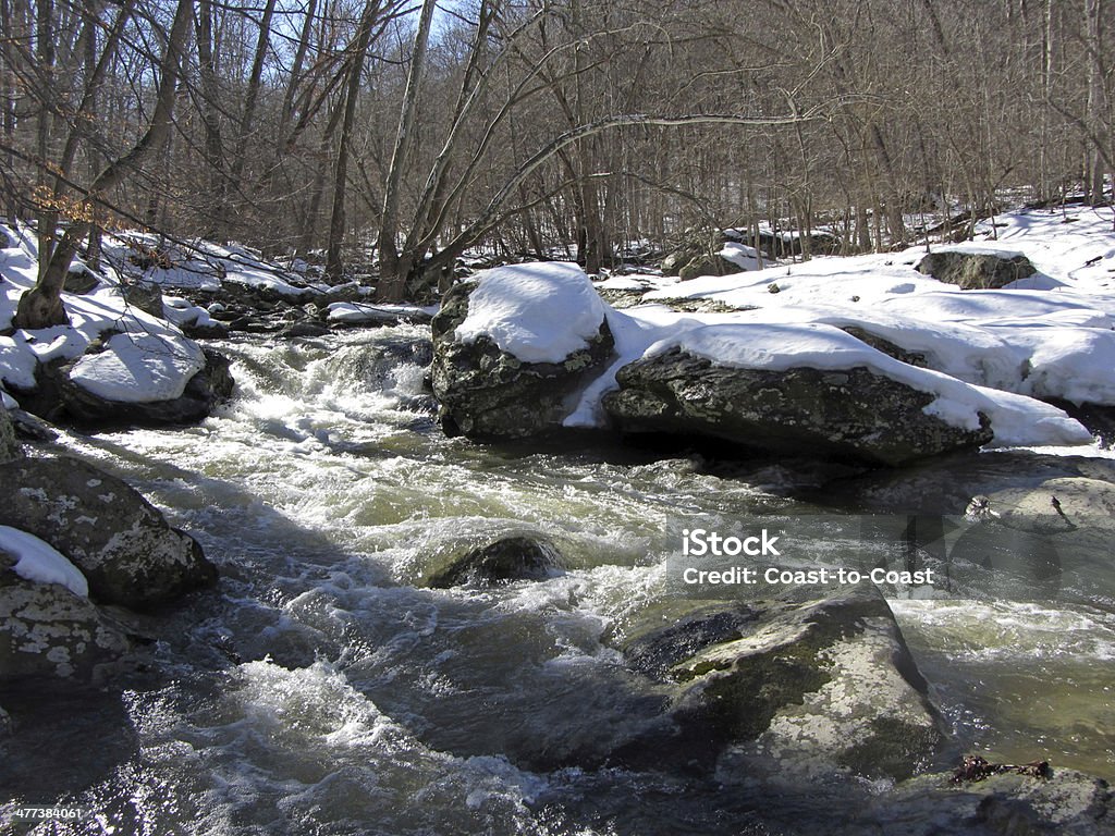 Amigo's Creek en febrero - Foto de stock de Agua libre de derechos