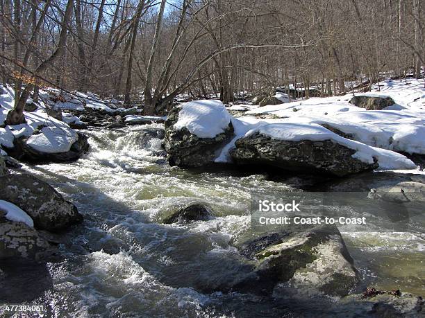 Amigo Creek Em Fevereiro - Fotografias de stock e mais imagens de Ao Ar Livre - Ao Ar Livre, Corrente - Água corrente, Fevereiro