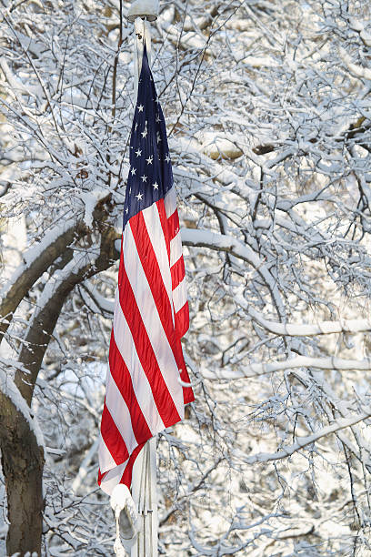 istock Flag and Snow flag and snow 477384785
