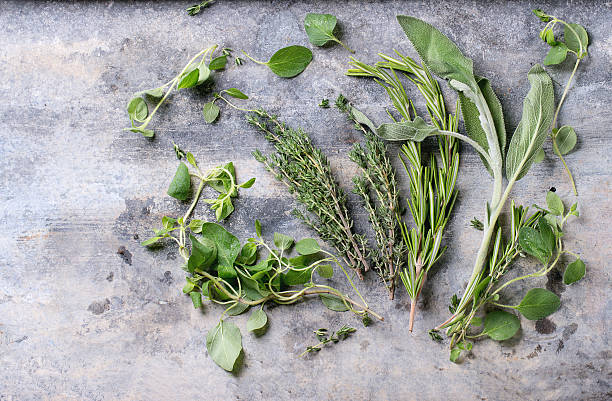 istock Assortment of fresh herbs 477385008