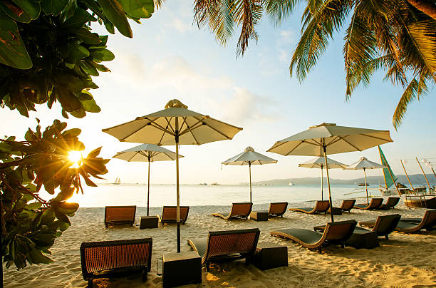 istock Sun umbrellas and beach chairs on tropical beach 477385420