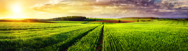 A rural Minnesota farm scene during summer sunset.