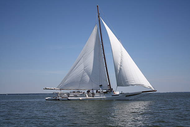 Skipjack Under Sail on the Chesapeake Bay Tilghman Island, Maryland, USA - July 3, 2010:   The Historic oyster fishing Skipjack Rebecca T. Ruark Under Sail near Dogwood Harbor at Tilghman Island on the Chesapeake Bay skipjack stock pictures, royalty-free photos & images