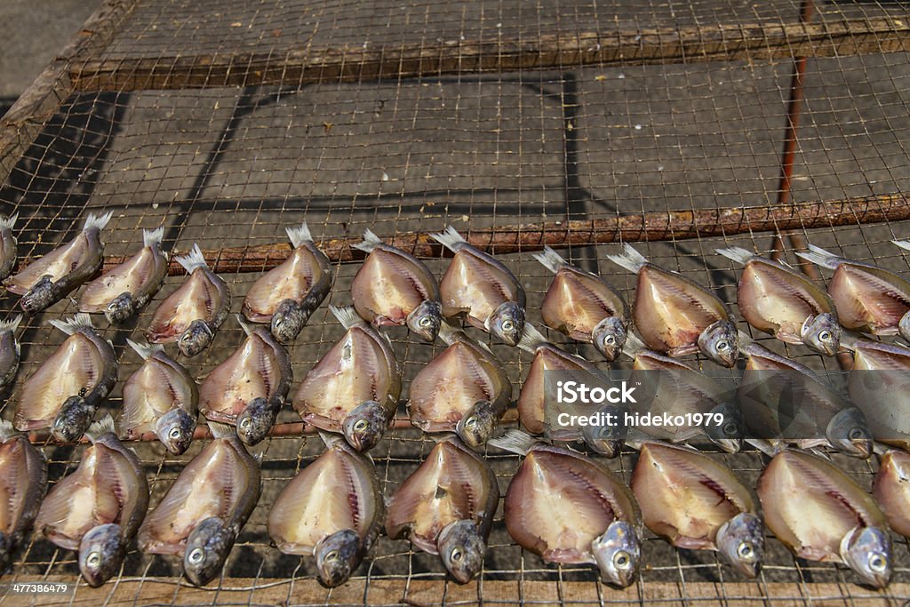 Dried fish dry in sunlight. Dried fish dry in sunlight. Dried fish is dry foodstuff, this food product by mix salt with fresh fish and then place them under sunlight. We can use for long time Animal Stock Photo