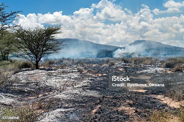 Wildfire In African Savanna Stock Photo - Download Image Now - Arson, Forest Fire, Inferno