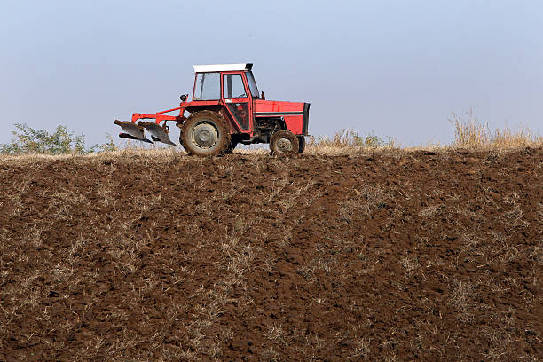 traktor возделывание земли - plowed field field fruit vegetable стоковые фото и изображения