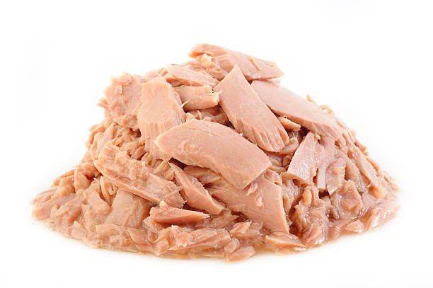 istock canned tuna fish on white background 477389554