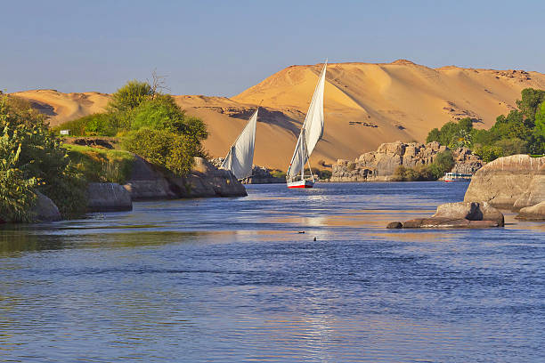 Sailing boats on Nile river near Aswan Two typical Egyptian sailing boat on the Nile near Aswan and Elephantine Island. felucca boat stock pictures, royalty-free photos & images