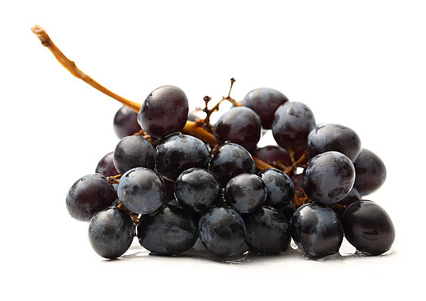 istock Twig of black grape on white 477390995