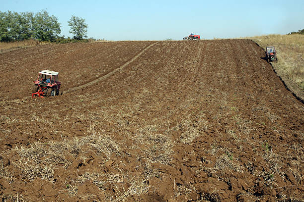 traktors возделывание земли - plowed field field fruit vegetable стоковые фото и изображения