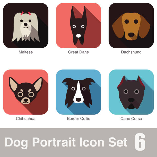 Dog, animal face character icon series Dog, animal face character icon design set maltese silhouette stock illustrations