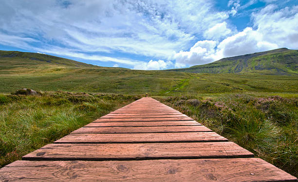 Ascent to Ingleborough Mountain by Path Duckboard wooden path over marshy ground on the ascent to Ingleborough, the second highest mountain in the Yorkshire Dales, one of three peaks. ingleborough stock pictures, royalty-free photos & images