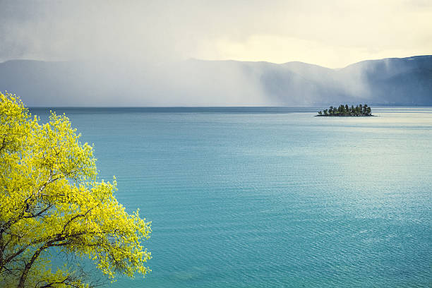 A summer rain storm cloud moving across the surface of Flathead Lake in Montana, off in the distance. Tree top in the foreground and a small island and large mountain range in the background. No people in image. High resolution color photo with copy space for your content message. Horizontal composition.