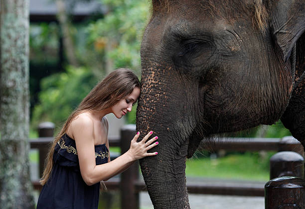 istock Model woman hugging a big elephant 477396696