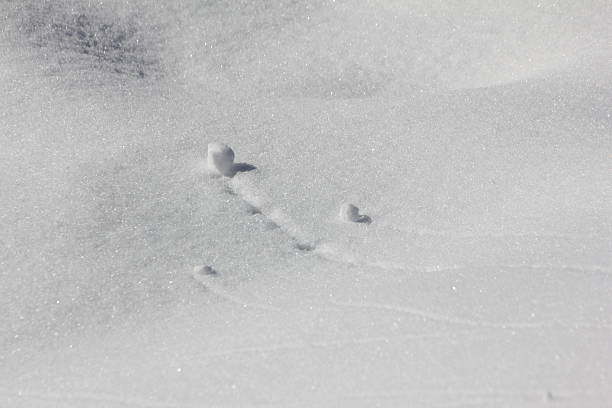 istock Mini Avalanche, Close-up, Snow and Ice Crystals 477397733