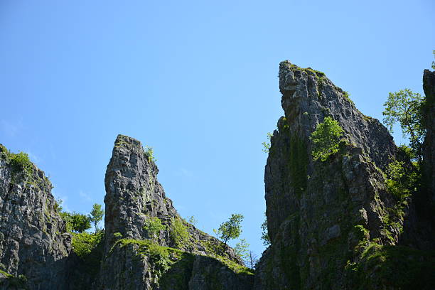 Cheddar Gorge detail Looking up at the very high rock formations of Cheddar Gorge in Somerset, England. cheddar gorge stock pictures, royalty-free photos & images