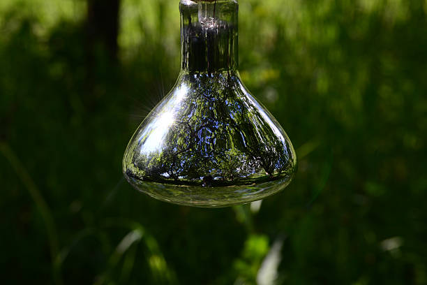 istock Big light bulb in the garden 477400542
