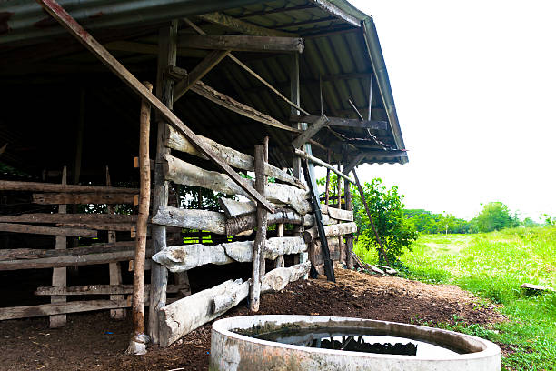 istock Animal Rearing house 477405024
