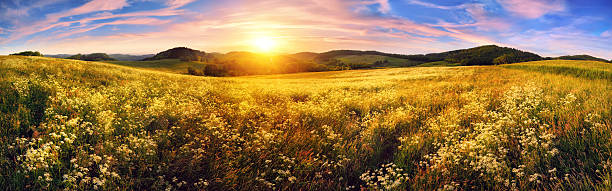 istock Panorama of a colorful sunset on beautiful meadow 477407452