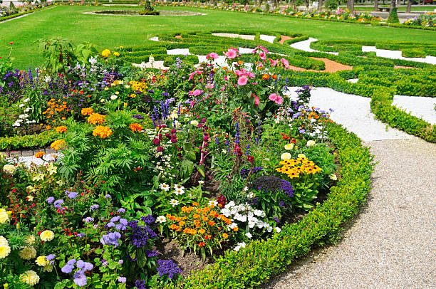 istock flower bed in the summer park 477408271