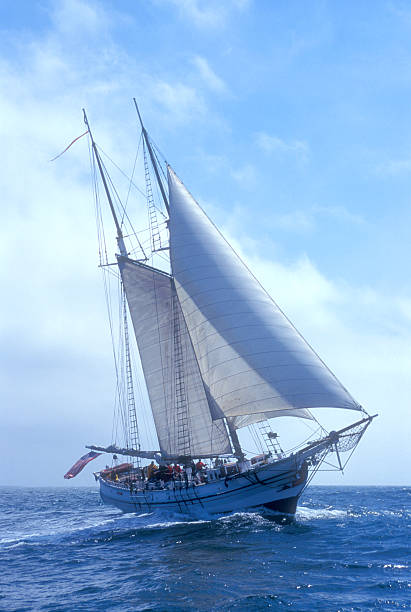 istock Brigantine Sailing on the High Seas 477408281