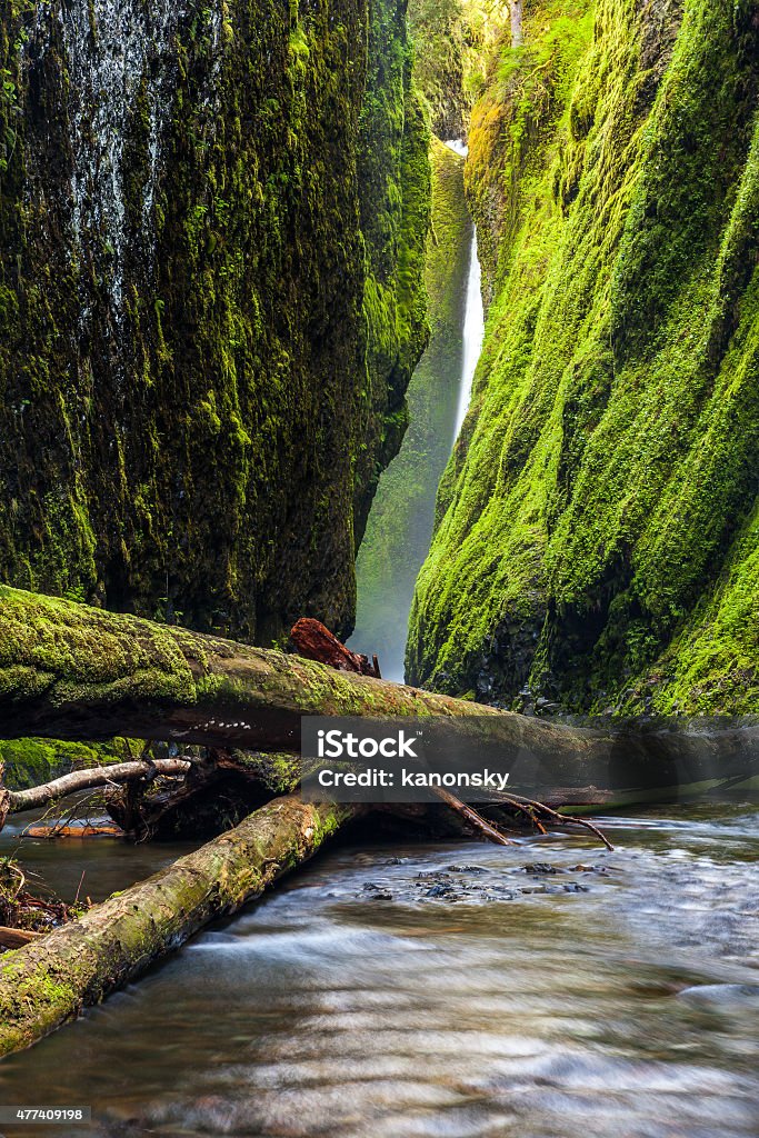 Oneonta gorge trail in Columbia river gorge, Oregon Oneonta gorge trail in Columbia river gorge, Oregon. 2015 Stock Photo