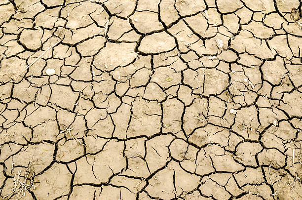 Cracked earth texture stock photo