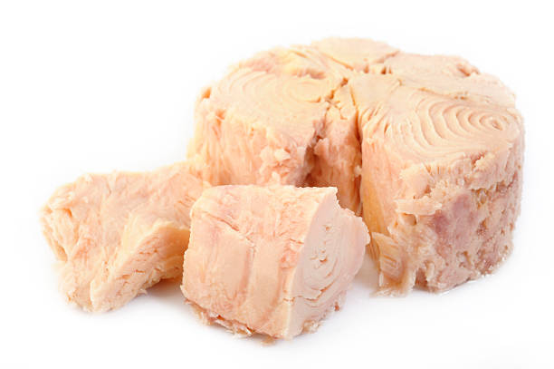 istock tuna steak isolated on white background 477417200