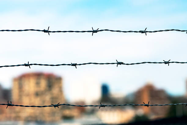 Barbed wire steel wall against sunset.
