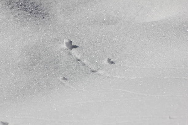 istock Pure White Snow, Ice Crystals, Shadow Effects, Winter Scenery 477417391