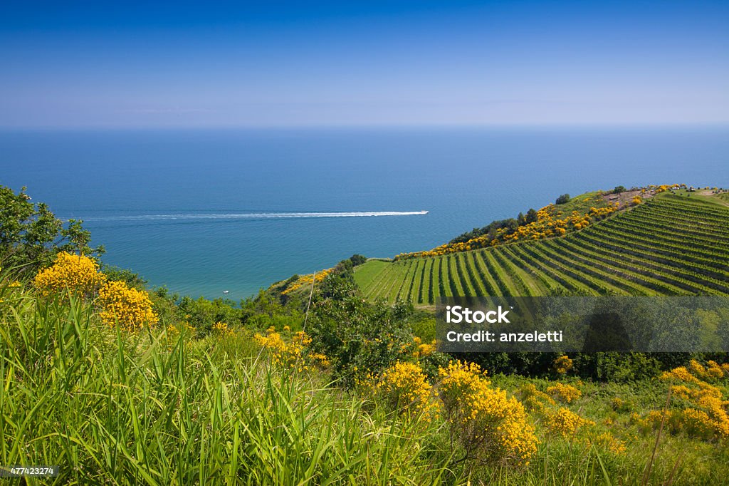View over hills and vineyards towards the coastline in Italy Panorama towards the Mediterranean Sea in the Province of Pesaro Sea Stock Photo