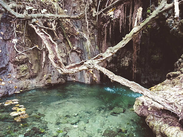 afrodita baño, un sendero natural - akamas fotografías e imágenes de stock